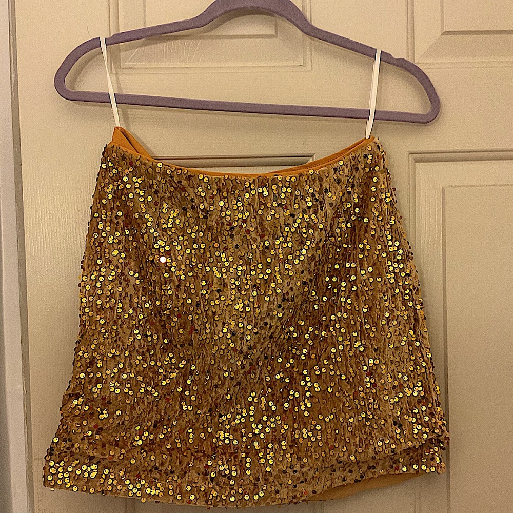 Party Shimmer Skirt. New (never worn)